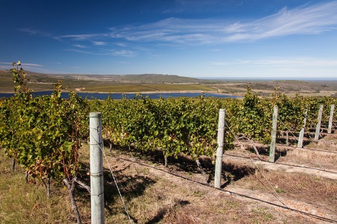 Elim Wine Route